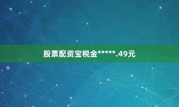 股票配资宝税金*****.49元